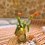 Casa Bella A Skala 2 Apartament Skala (Kefalonia)